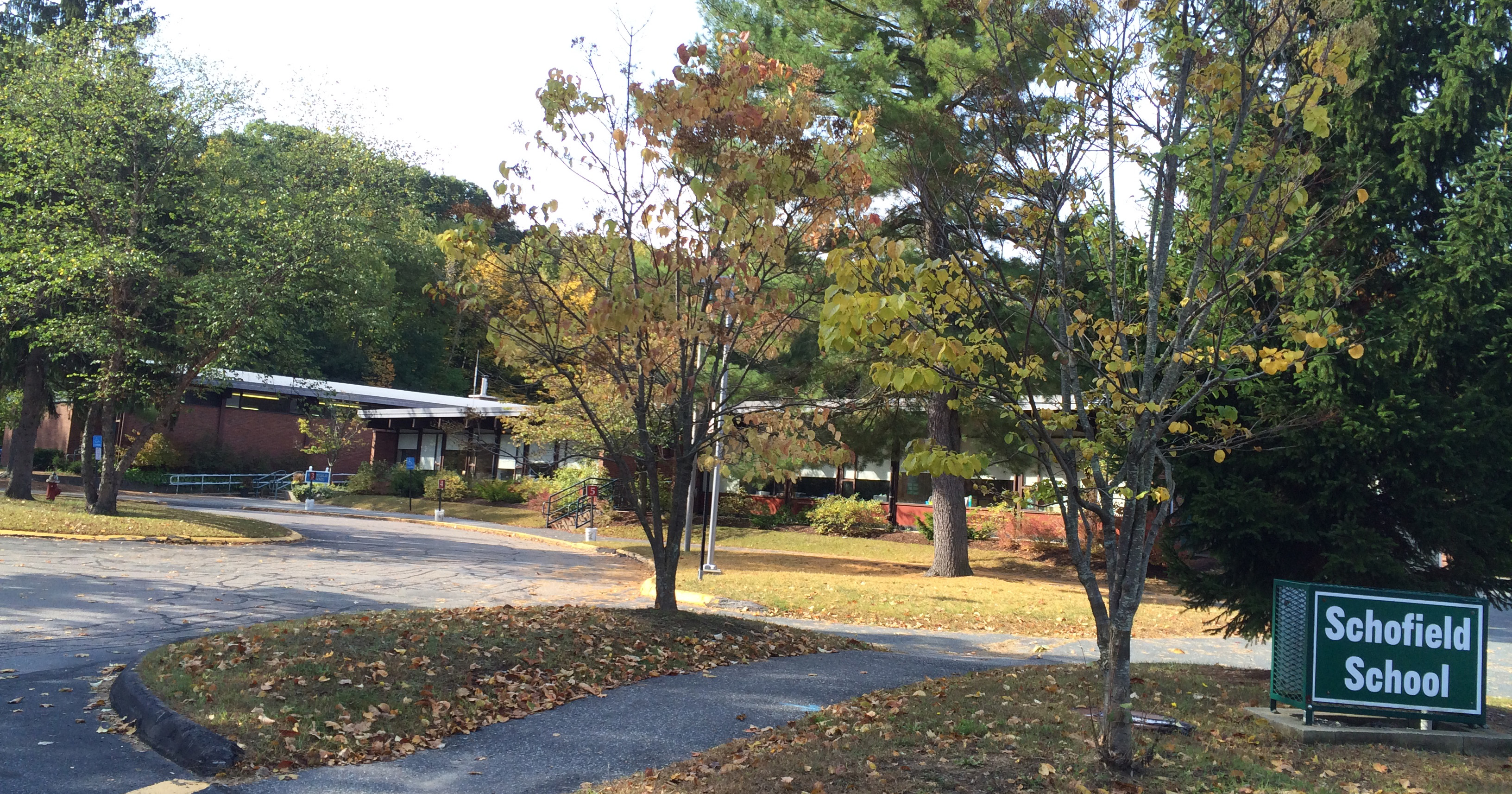 Ally Carroll » Staff Directory Otho L. Schofield Elementary School