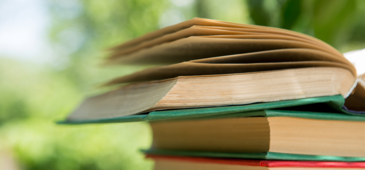 A stack of books in front of a wooded landscape on a sunny day