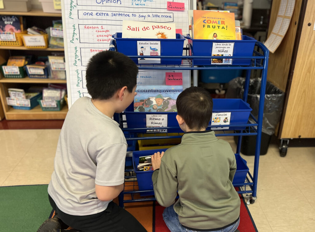 Two students in a classroom looking at a bookshelf filled with Spanish books